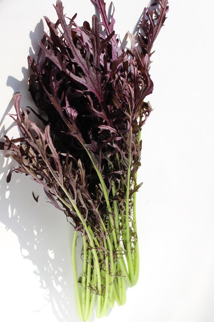 【常温便】佐賀県野菜【サガンベジ】有機JASレッドからし水菜(100g)の画像