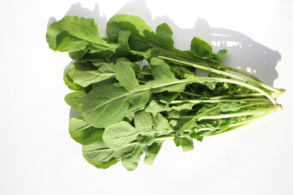 【常温便】佐賀県野菜【サガンベジ】有機JASルッコラ(50g)の画像