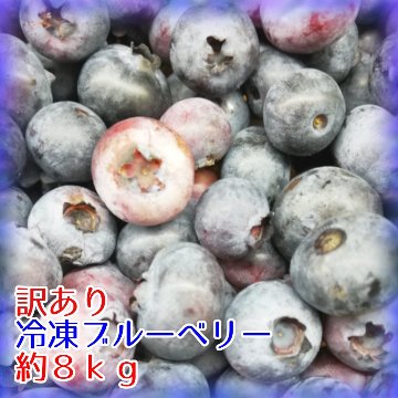 【送料込】訳あり冷凍ブルーベリー約８ｋｇ※化粧箱なし※の画像