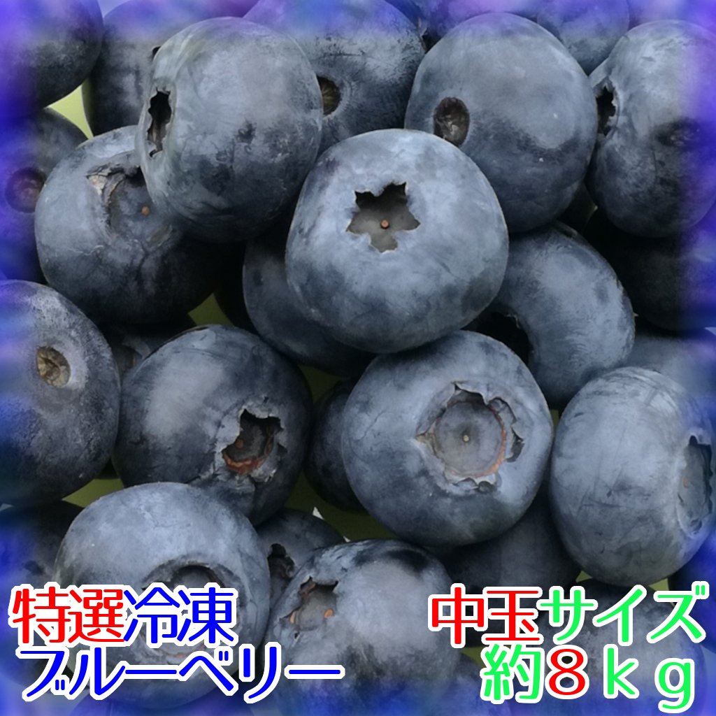 【送料込】【特選】完熟冷凍ブルーベリー[中玉]約８ｋｇ※化粧箱なし※の画像