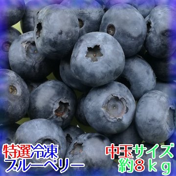 【送料込】【特選】完熟冷凍ブルーベリー[中玉]約８ｋｇ※化粧箱なし※の画像