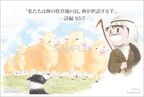羊たち画像