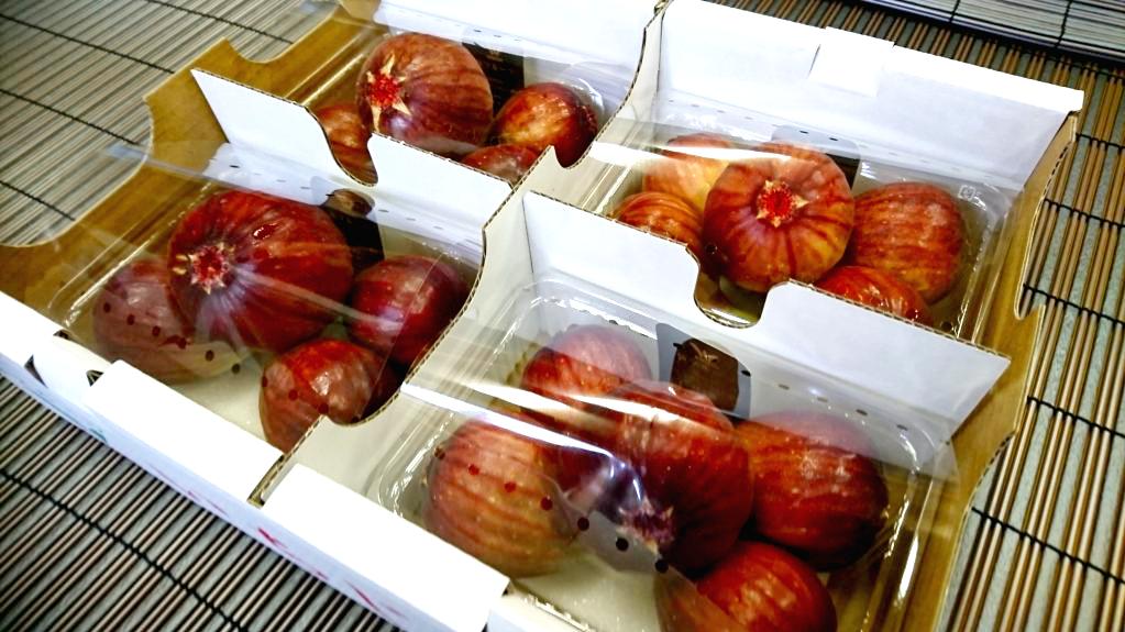 ロイヤルルビー(いちじく)の画像