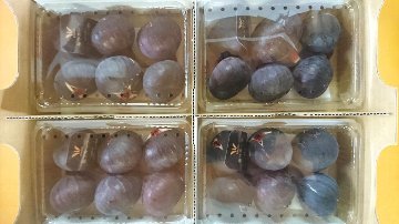 幻の黒いちじくの画像