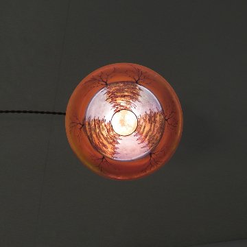 フランス アンティーク アールヌーボー シーリングランプ画像