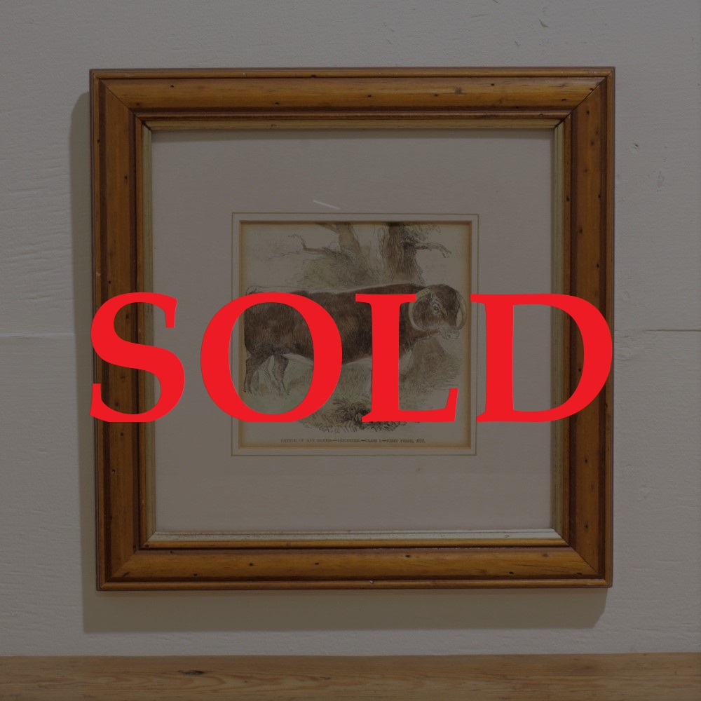 ヴィンテージ エッチング フレームの画像