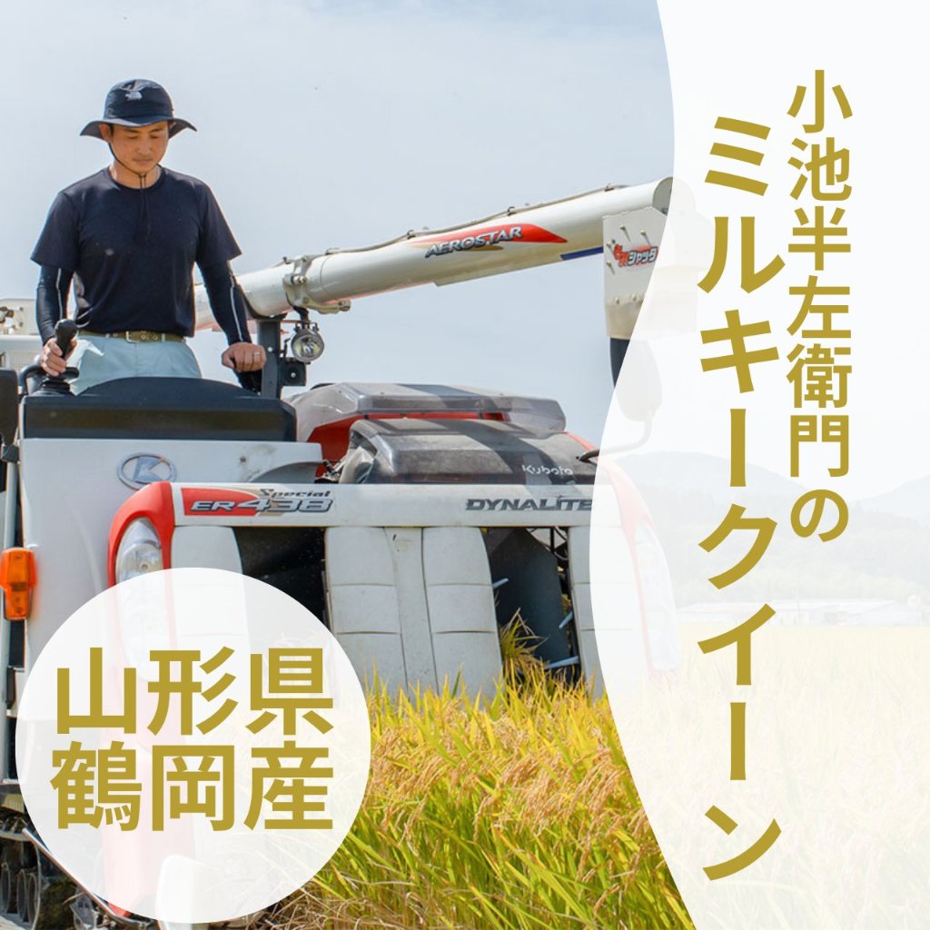 令和7年産 ミルキークイーン　山形県鶴岡市産の画像