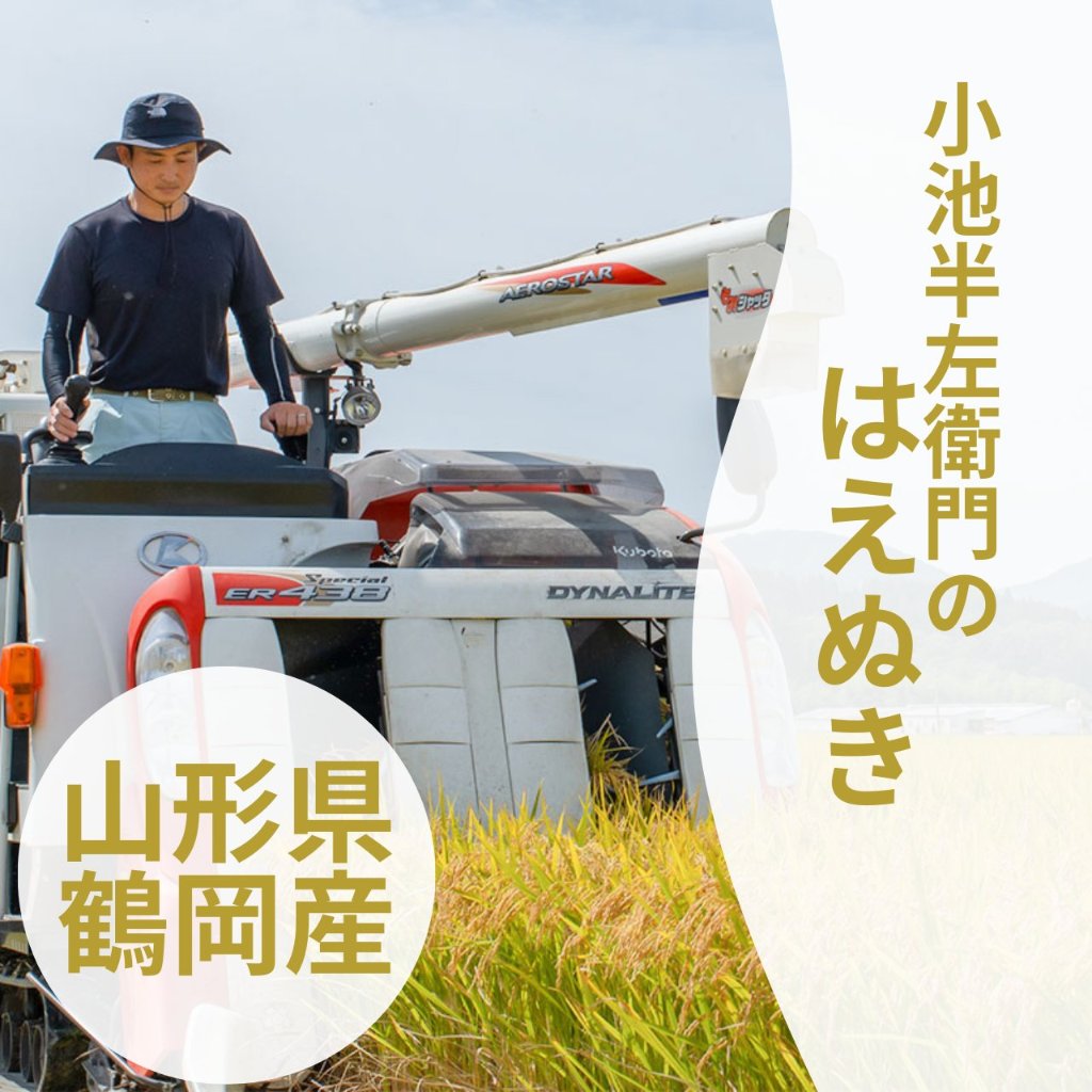 令和7年産 はえぬき　山形県鶴岡市産の画像