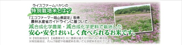 特別栽培米【れんげ朝日】｜ライスファームハヤシ