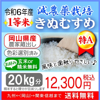 ★新米★減農薬栽培【特Aきぬむすめ】玄米20kg分の画像