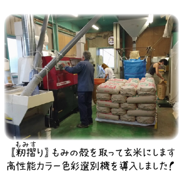 ★新米★減農薬栽培【特Aきぬむすめ】玄米20kg分の画像