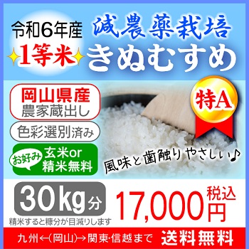 ★新米★減農薬栽培【特Aきぬむすめ】玄米30kg分の画像