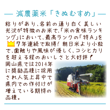 ★新米★減農薬栽培【特Aきぬむすめ】玄米30kg分の画像