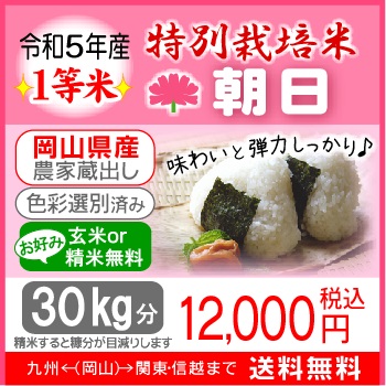 ☆新米☆特別栽培米【朝日】玄米30kg分 | ライスファームハヤシ