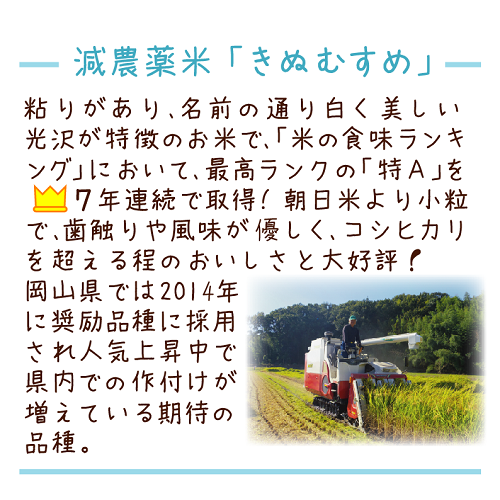 ★新米★減農薬栽培【特Aきぬむすめ】玄米5kg分の画像