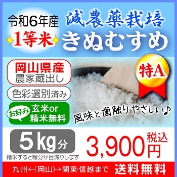 ★新米★減農薬栽培【特Aきぬむすめ】玄米5kg分の画像