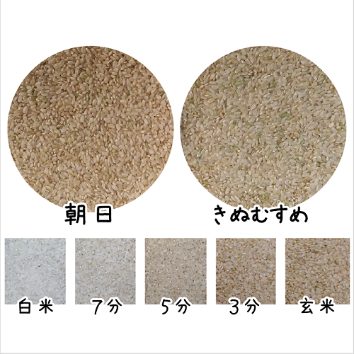 ※年間予約のお客様限定_特別栽培米【朝日】玄米20kg分の画像
