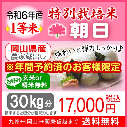レンゲ米 朝日米玄米10キロ