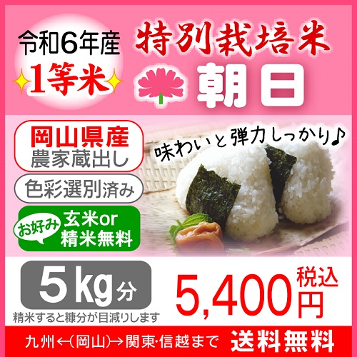 ★snowy♪様★専用【特別栽培米 朝日】30kg 令和4年産【特別栽培米 朝日】30kg （令和6年産／特別栽培米