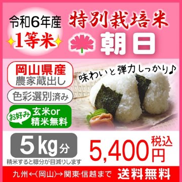 特別栽培米【朝日】｜ライスファームハヤシ