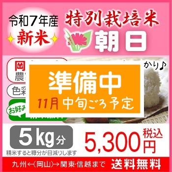特別栽培米【朝日】｜ライスファームハヤシ