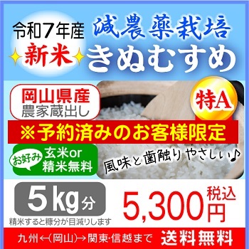 減農薬栽培【特Aきぬむすめ】｜ライスファームハヤシ