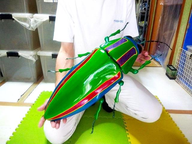 は自分にプチご褒美を タマムシフィギュア リアル MEGA 生き物