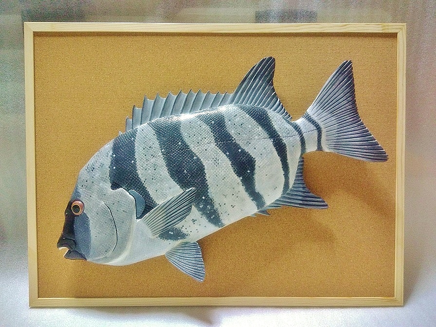 ☆石鯛・銀わさロクマルオーバー魚拓♪ l ☆すばる近代釣魚アート☆