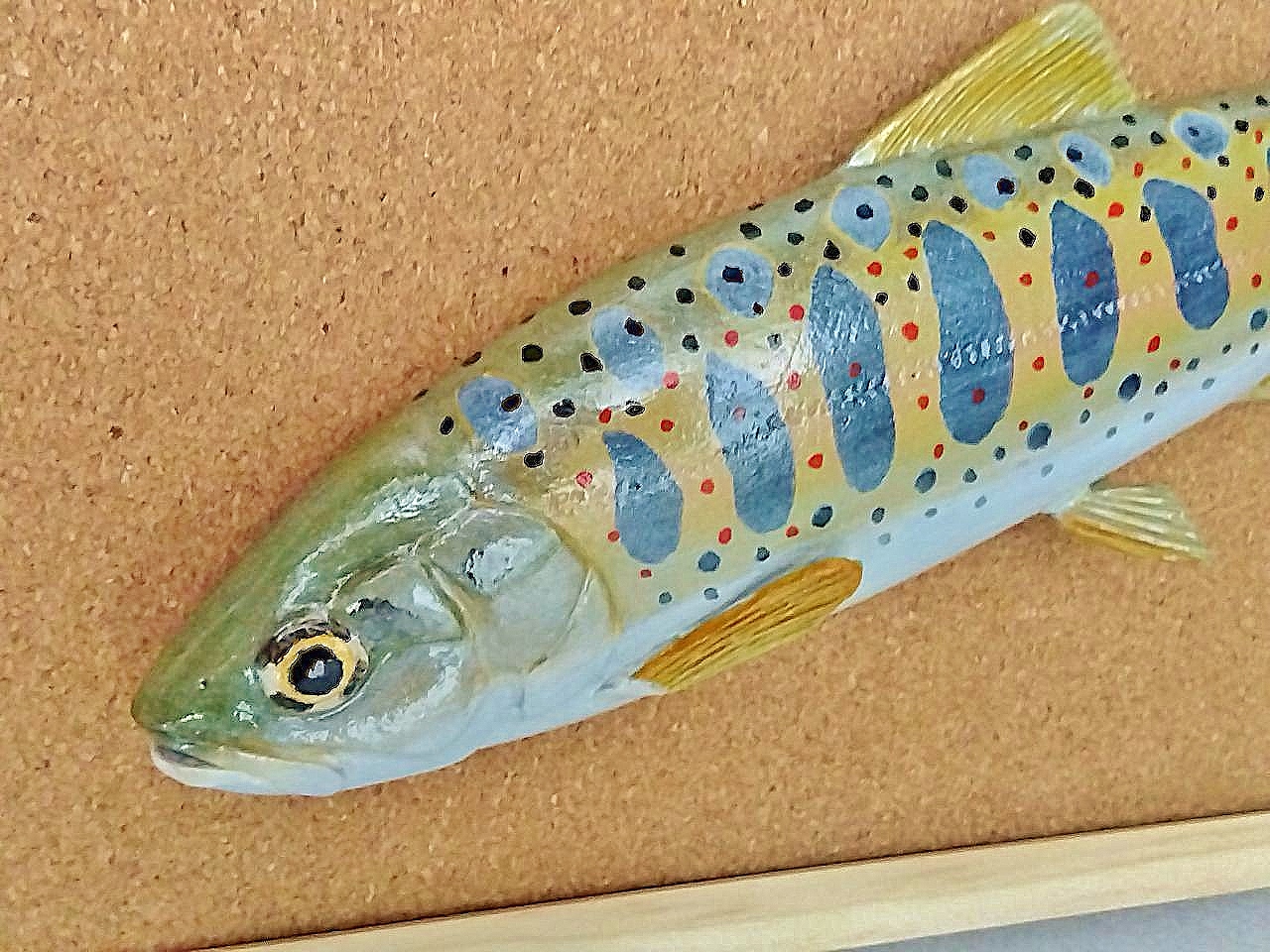 大人も着やすいシンプルファッション アマゴ 天魚 雨子 立体魚拓 フィギュア 造形 ロッド