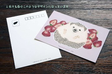 ポストカード【いちごとハリネズミ】画像