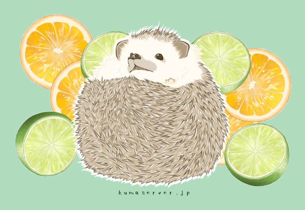 ポストカード【シトラスとハリネズミ】の画像