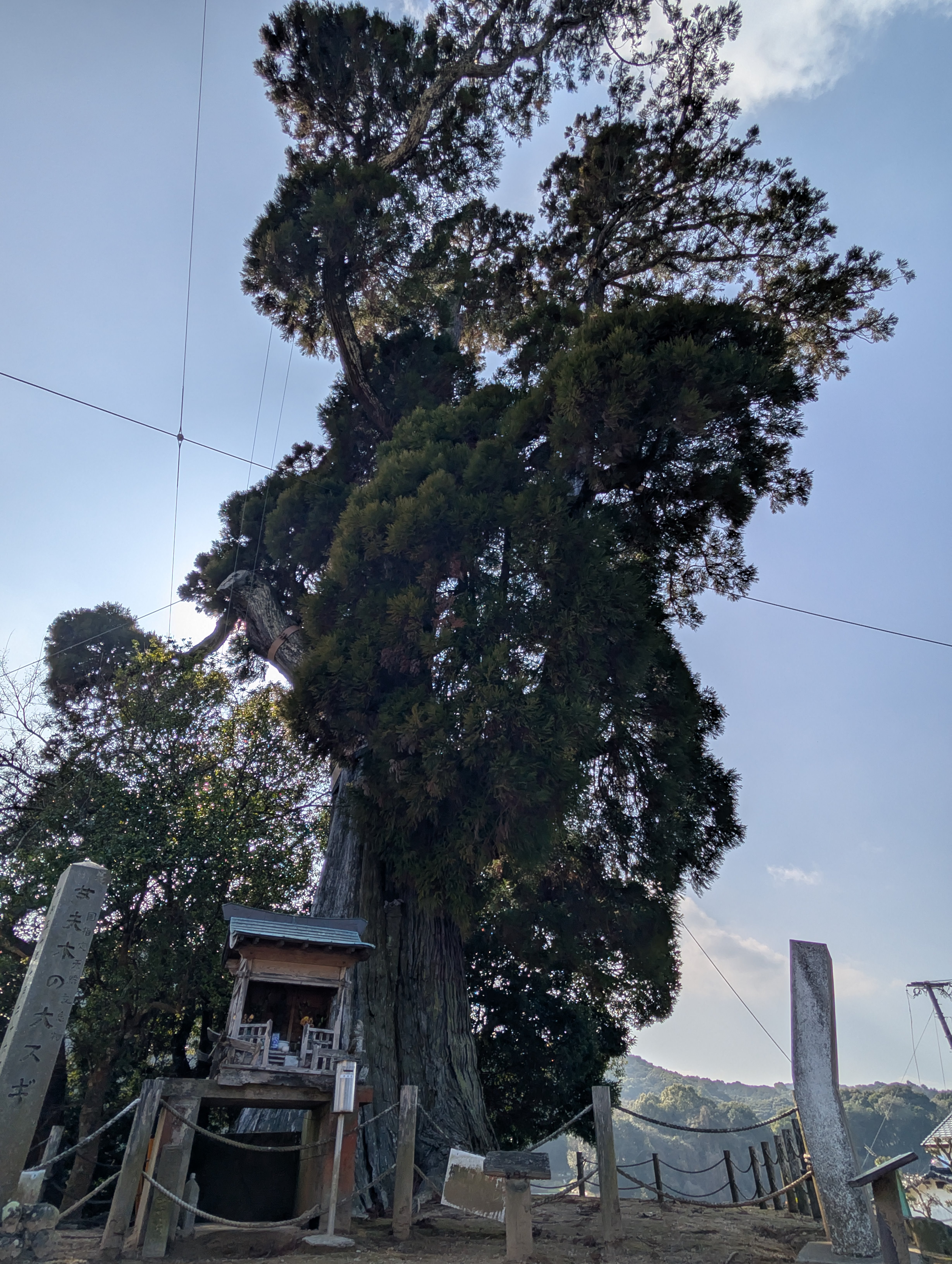 【第三章】久山年神社 × 堤けんじ先生　月替わり諫早名所 御朱印（令和8年5月版）の画像