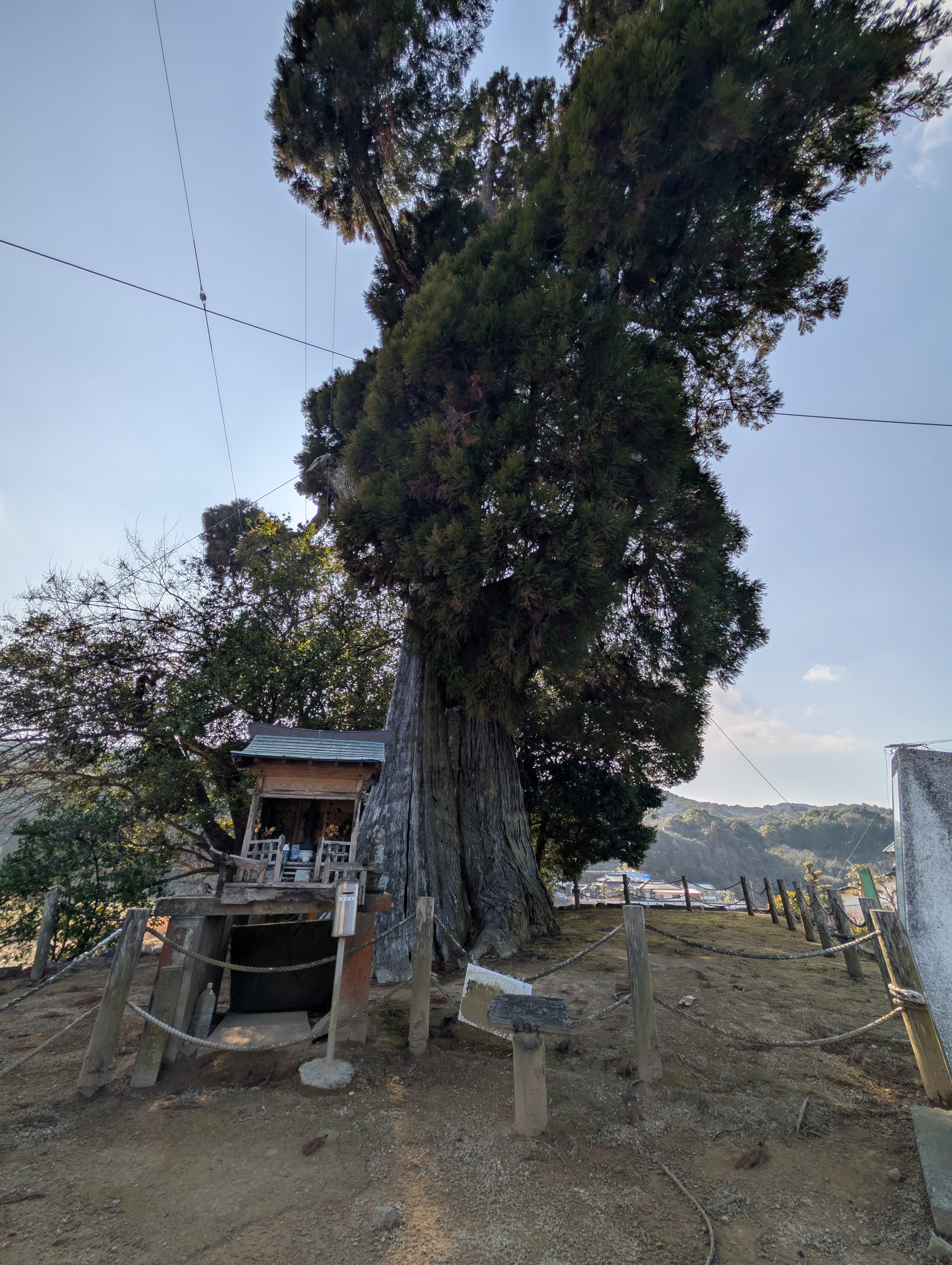【第三章】久山年神社 × 堤けんじ先生　月替わり諫早名所 御朱印（令和8年5月版）の画像