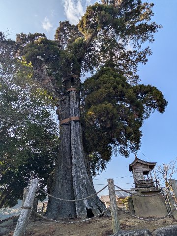 【第三章】久山年神社 × 堤けんじ先生　月替わり諫早名所 御朱印（令和8年5月版）の画像