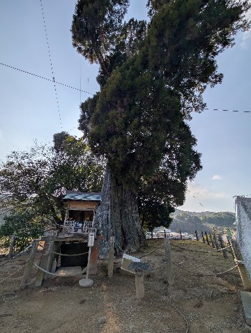 【第三章】久山年神社 × 堤けんじ先生　月替わり諫早名所 御朱印（令和8年5月版）の画像