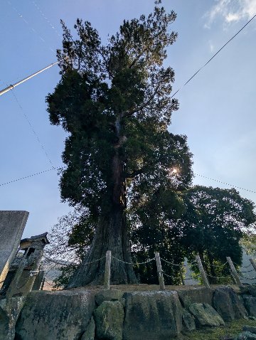 【第三章】久山年神社 × 堤けんじ先生　月替わり諫早名所 御朱印（令和8年5月版）の画像