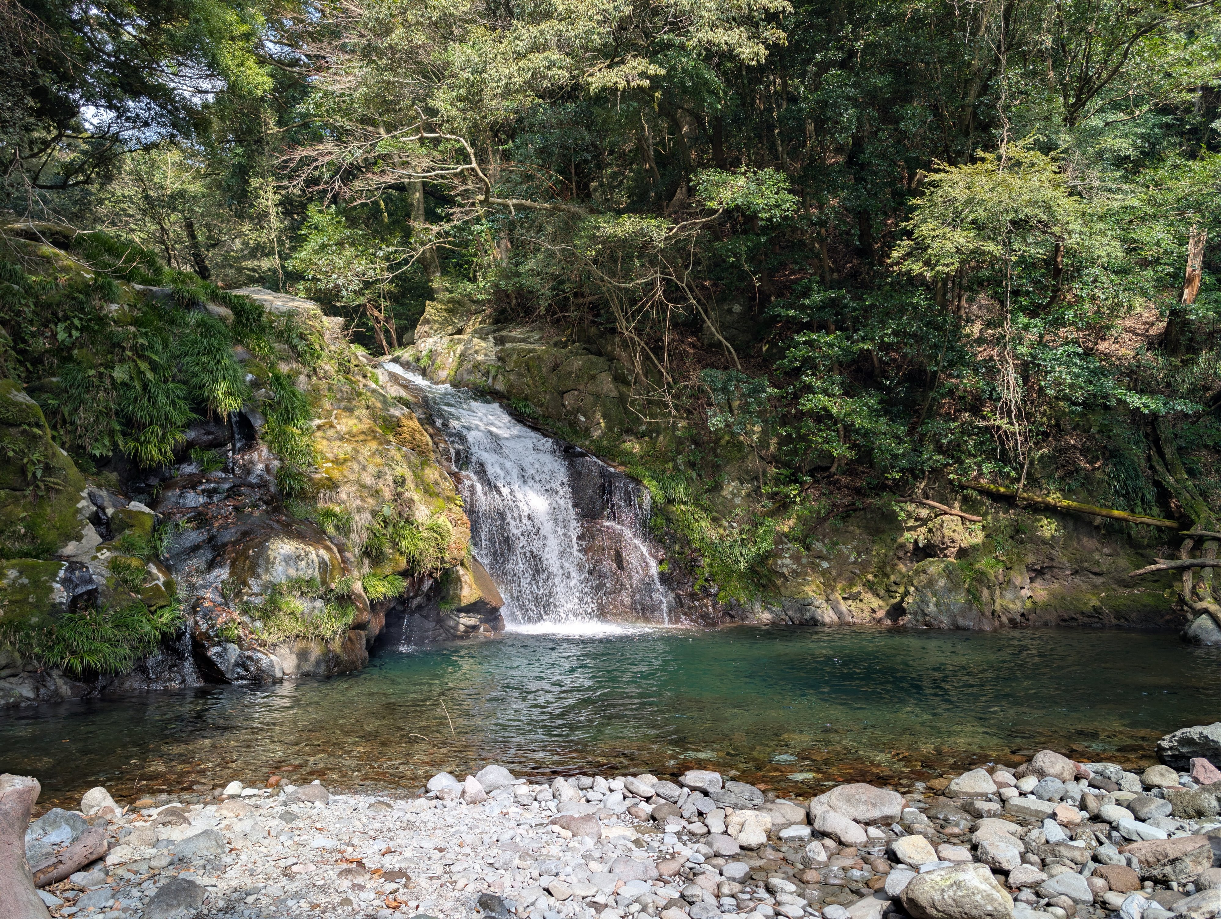 【第三章】久山年神社 × 堤けんじ先生　月替わり諫早名所 御朱印（令和8年7月版）の画像