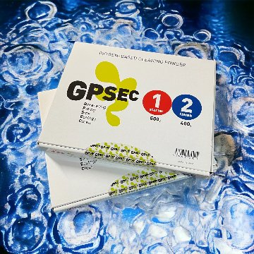 GPSEC画像