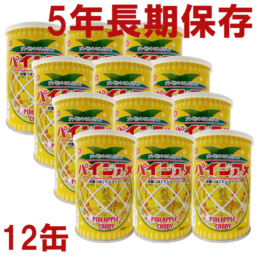 パインアメ缶 5年 90g 12缶入/箱 〔賞味期限：2029年8月以降〕の画像