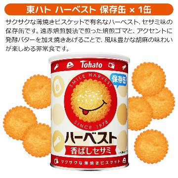 非常食 おかしの詰め合わせセット 〔賞味期限：2029年4月以降〕の画像