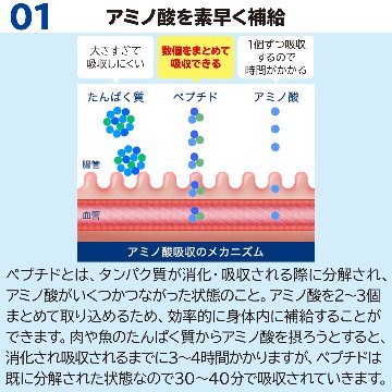 サカナのちから B ベーシック 120g (約360粒) ［機能性表示食品］の画像