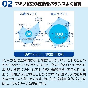 サカナのちから B ベーシック 120g (約360粒) ［機能性表示食品］の画像
