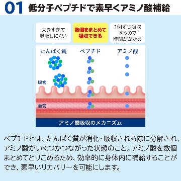 サカナのちから A for アスリート 120g (約360粒)の画像