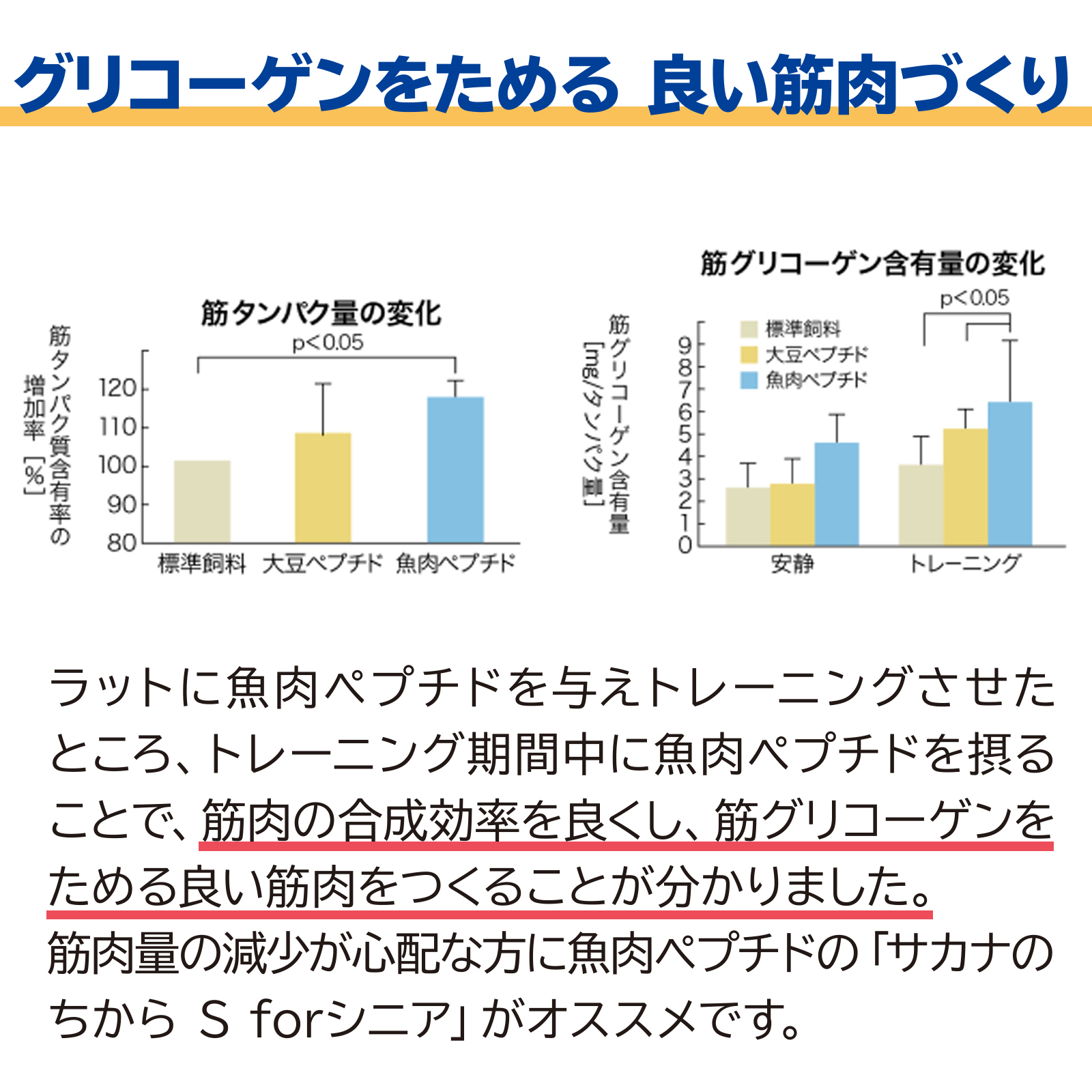 サカナのちから S for シニア 120g (約480粒)の画像