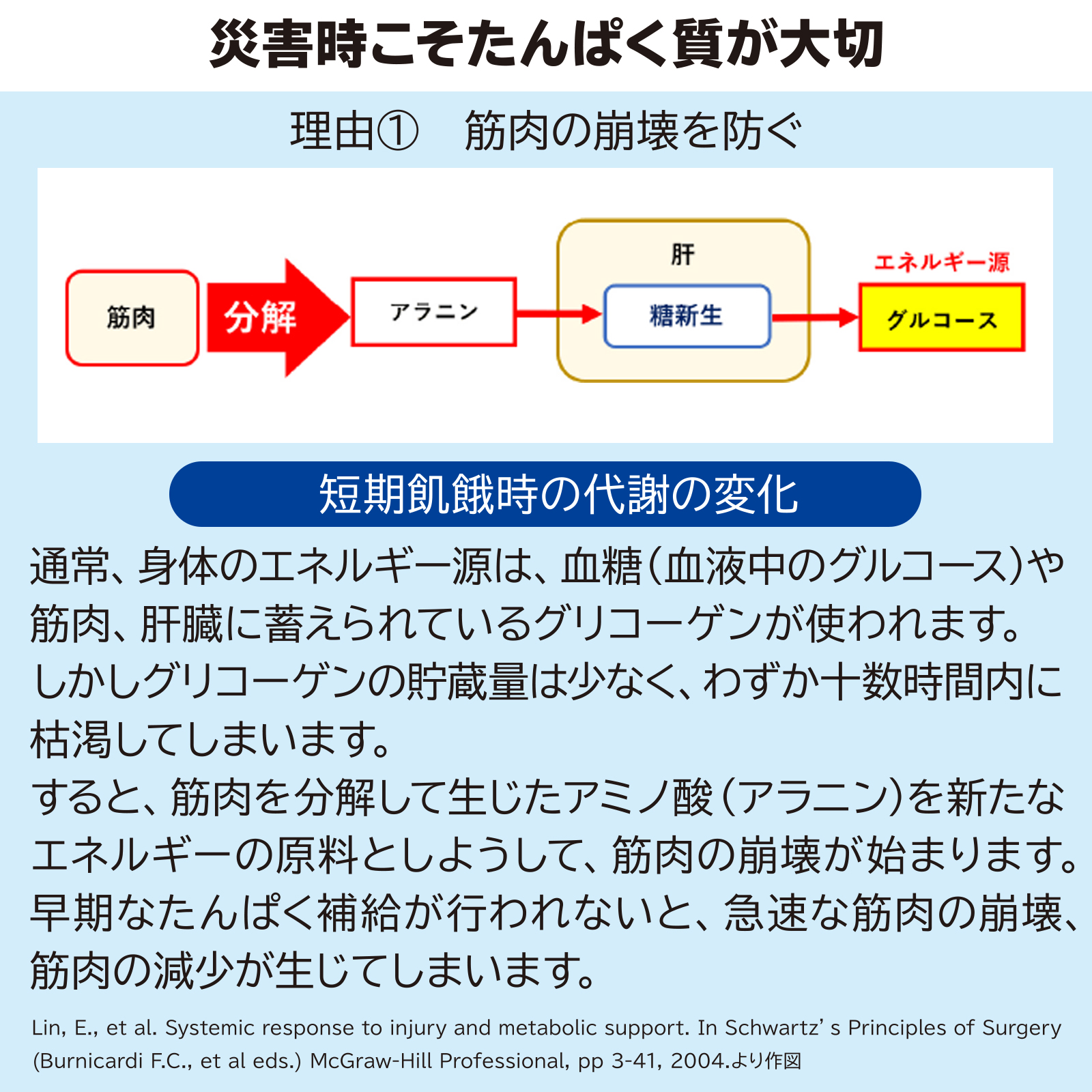 非常用サカナのちから 30g×10個の画像