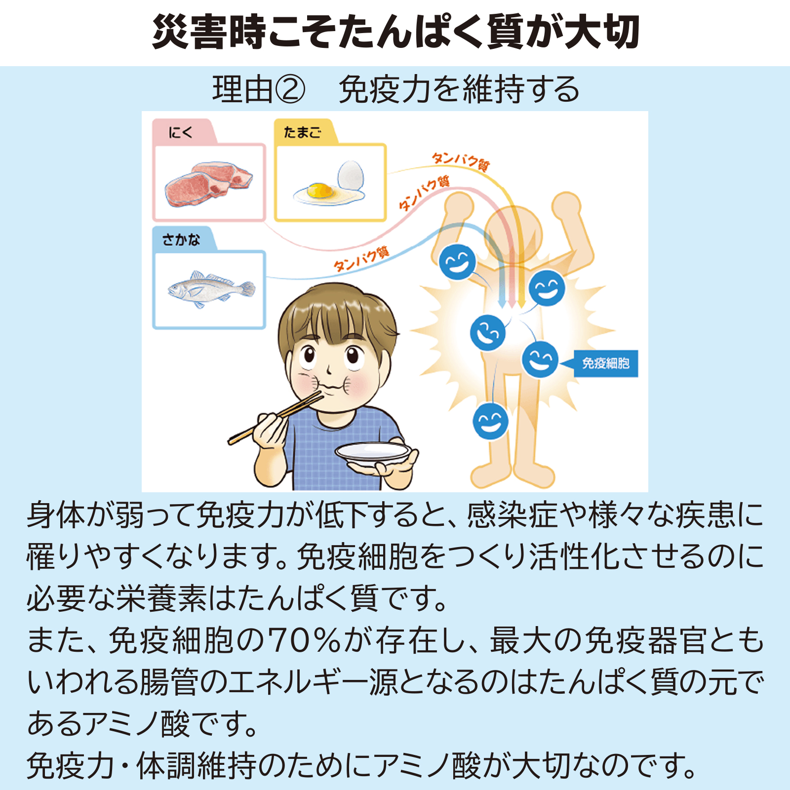 非常用サカナのちから 30g×10個の画像