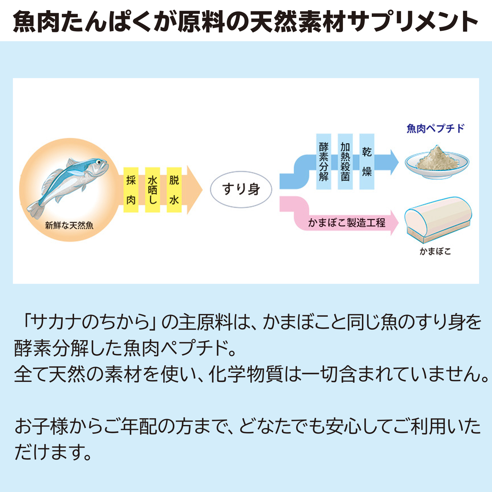 非常用サカナのちから 30g×10個の画像