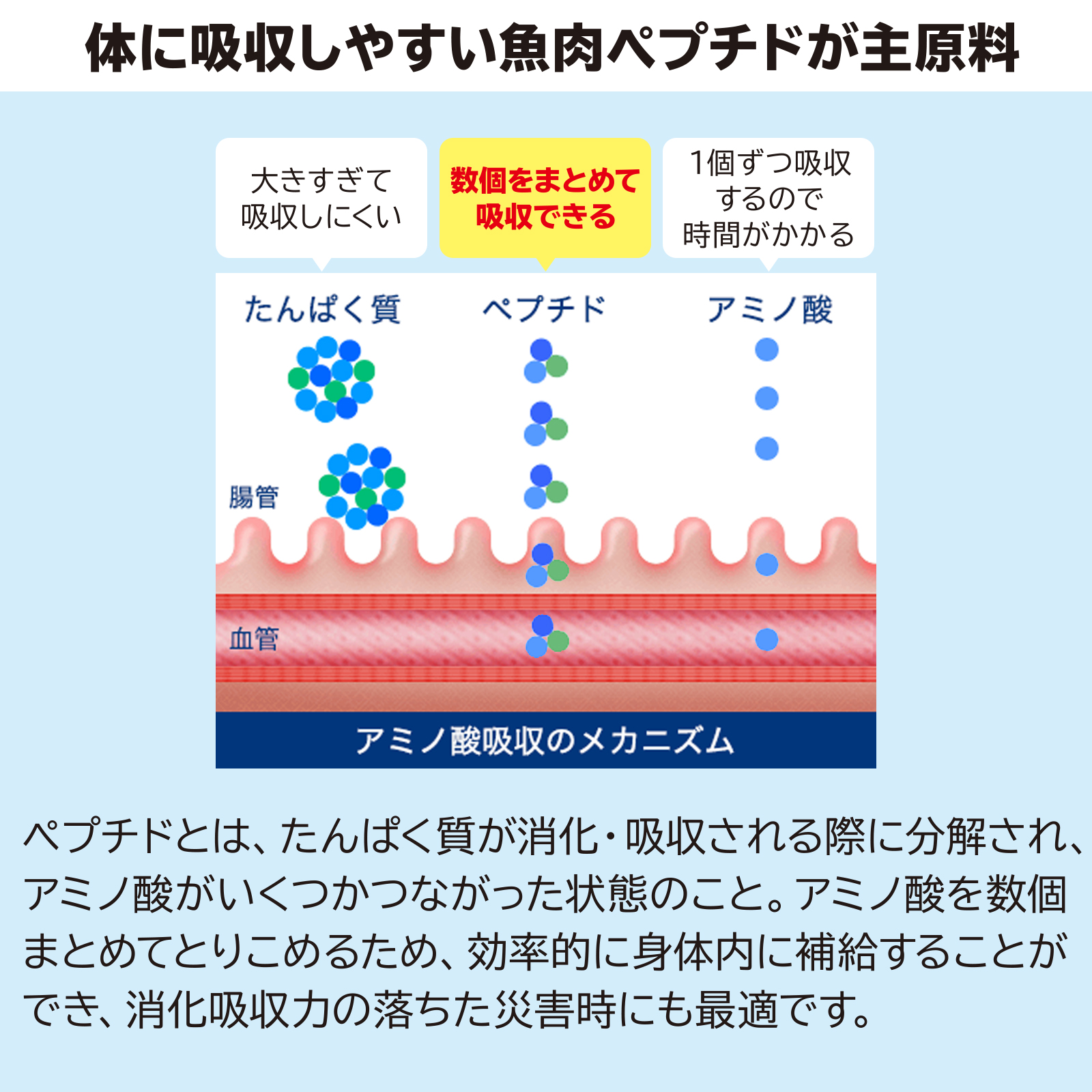 非常用サカナのちから 30g×10個の画像