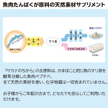 非常用サカナのちから 30g×10個の画像