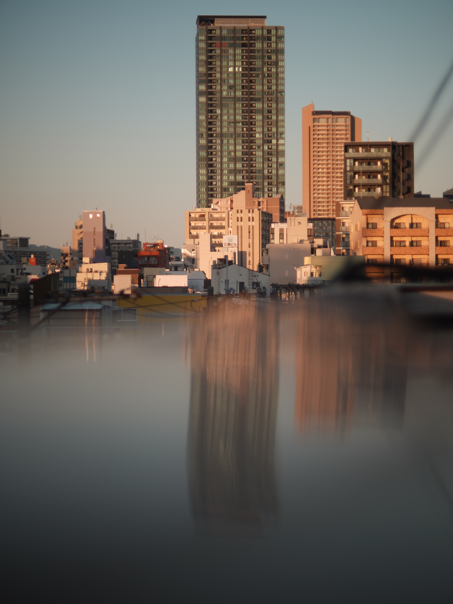 80/1.5 Vidital  Taylor Taylor & Hobson Cine Lens (England) Canon EOS EFマウント  L#569773 光学系95% 　鏡胴85% の画像